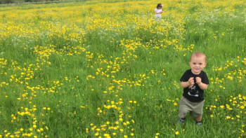 A little boy with short brown hair, black t shift and shorts, standing in a glorious field of lush grass and buttercups. you can see his sister in the back ground. The buttercups are very tall