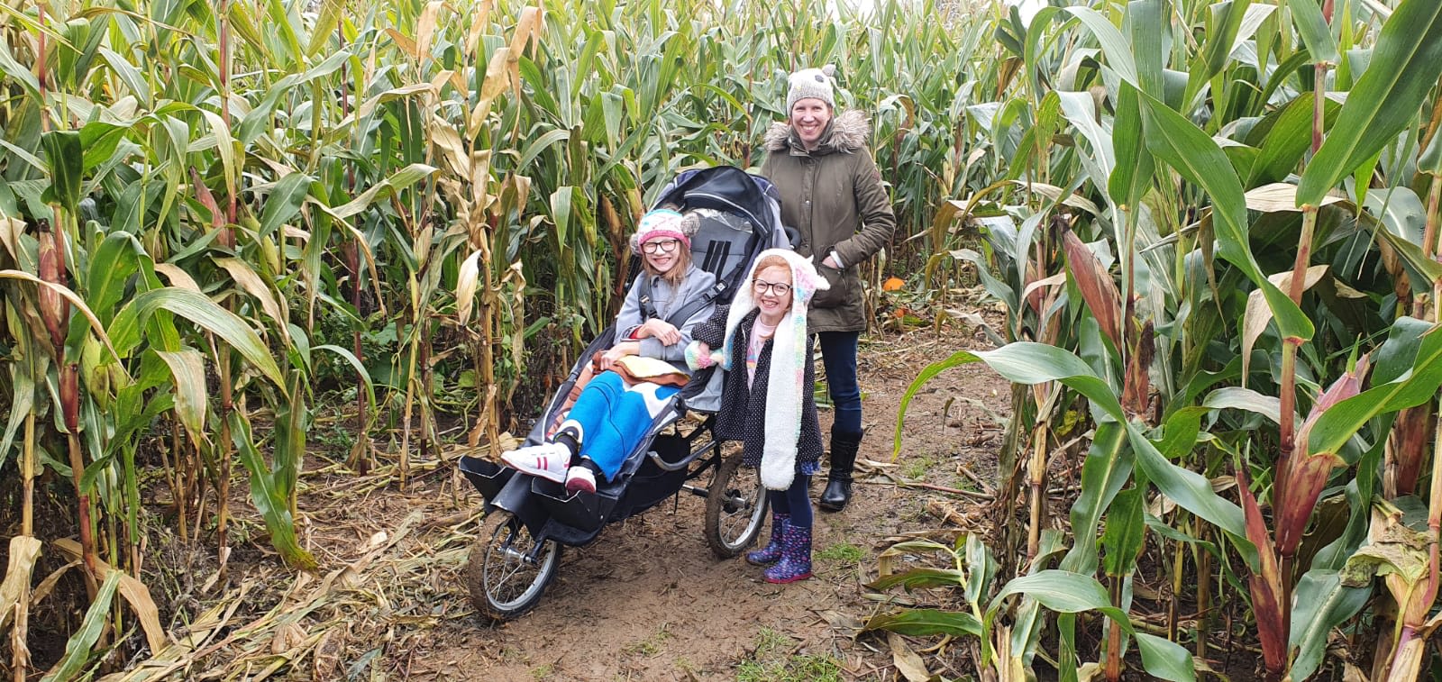 A girl, Lily, in a wheelchair-pushchair with her mum and little sister in a field of maize